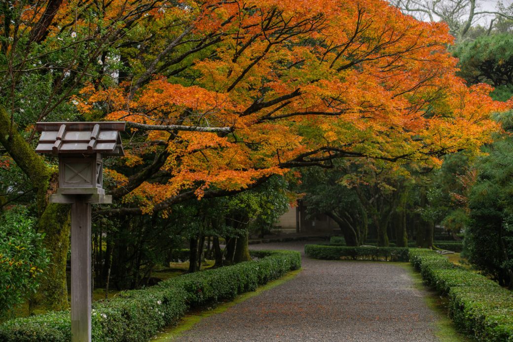 【9/22〜24】秋の訪れを感じる「秋の神楽祭」へ。伊勢神宮で日本の伝統文化にふれる3日間