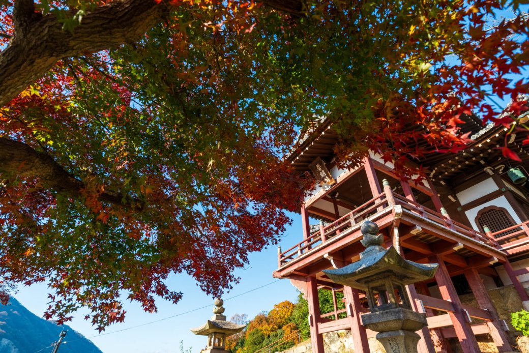 【5,000円OFF】豊かな秋の情景、滋味を味わう。広島・NIPPONIA HOTEL 竹原 製塩町の秋旅
